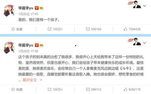 娱乐吃瓜群众华晨宇,娱乐界的“瓜王”传奇