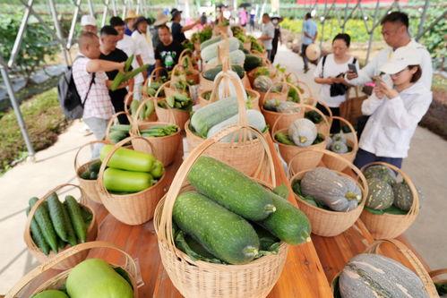 广州市吃瓜影视娱乐